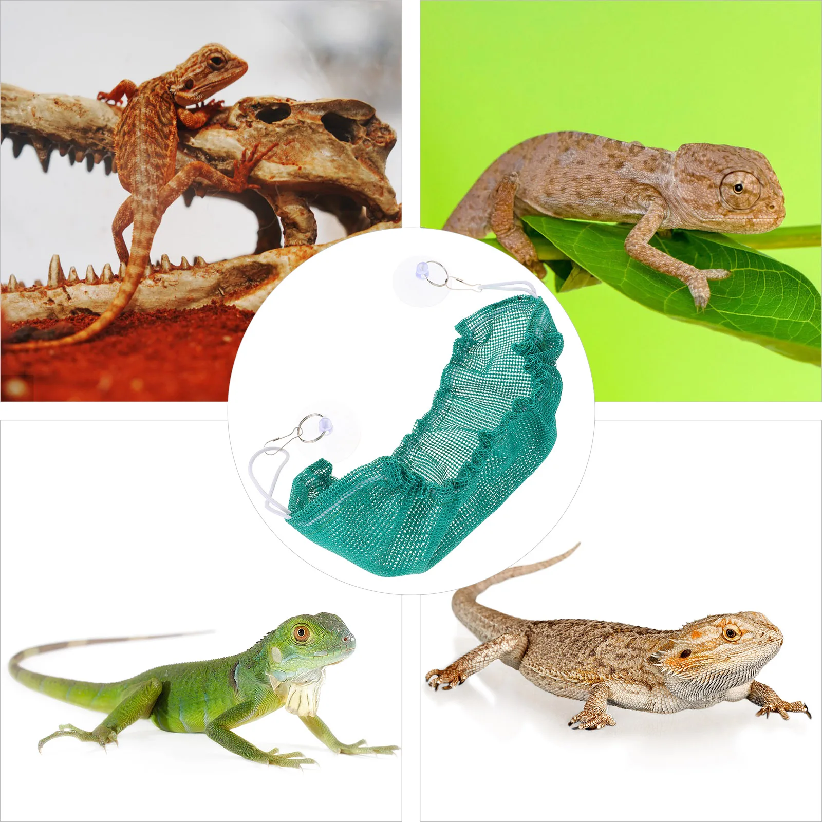 Climbing Pet Hammock for Bearded Dragon Cage Canvas Hanging Reptile Bed Lizard Creative
Climbing Pet Hammock for Bearded Dragon Cage Canvas Hanging Reptile Bed Lizard Creative