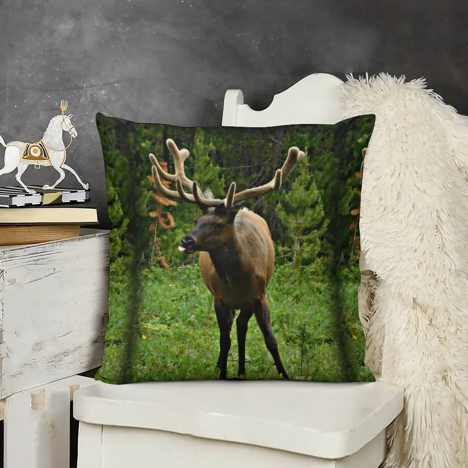 The Grand Tetons, Wyoming Throw Pillow Cushions Home Decor Pillowcase bed pillows luxury throw pillow covers pillow
The Grand Tetons, Wyoming Throw Pillow Cushions Home Decor Pillowcase bed pillows luxury throw pillow covers pillow