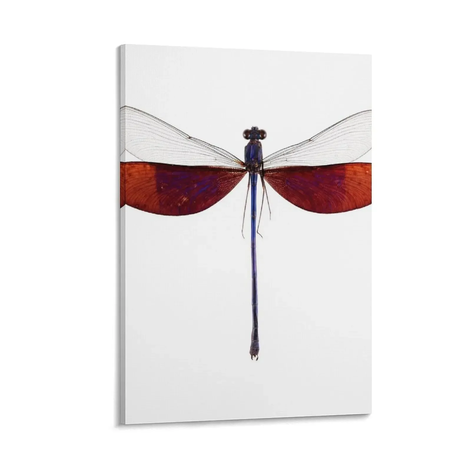 Damselfly (Neurobasis kaupi pavo) Canvas Painting ornaments for home Luxury living room decoration home decoration accessories
Damselfly (Neurobasis kaupi pavo) Canvas Painting ornaments for home Luxury living room decoration home decoration accessories