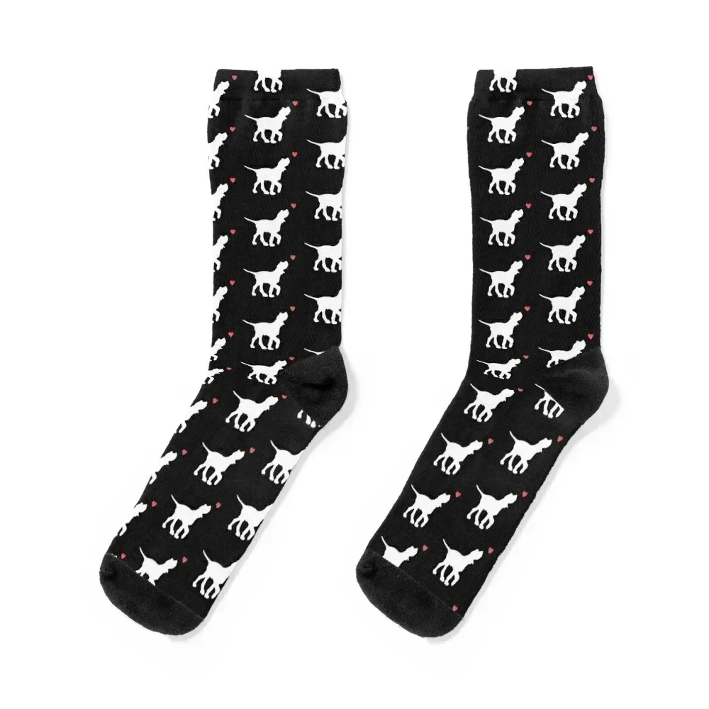 Italian Spinone Socks Children's aesthetic Men's japanese fashion Socks Men Women's
Italian Spinone Socks Children's aesthetic Men's japanese fashion Socks Men Women's