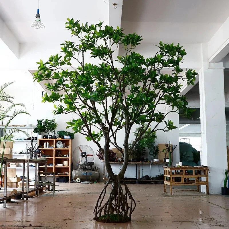 Simulation Mangrove Indoor and Outdoor Landscaping Floor Simulation Green Plants Hotel Scenic Garden Decoration
Simulation Mangrove Indoor and Outdoor Landscaping Floor Simulation Green Plants Hotel Scenic Garden Decoration