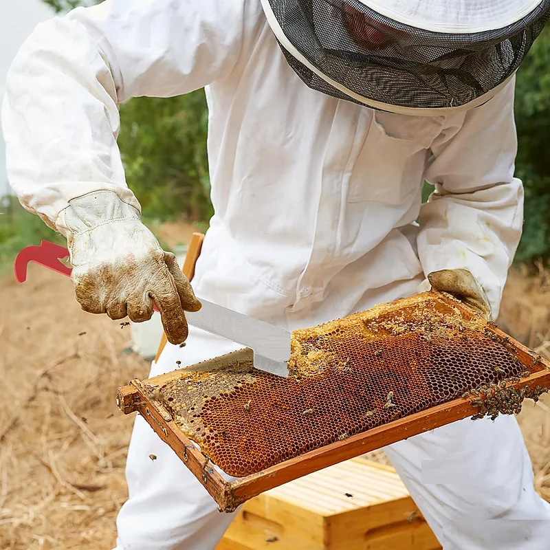 Hive Scraper 26.5cm Bee Hive Tool Bee Frame Lifter J Shape Hook Honey Scraping Knife Beekeeping Equipment Frame Cleaning Tool
Hive Scraper 26.5cm Bee Hive Tool Bee Frame Lifter J Shape Hook Honey Scraping Knife Beekeeping Equipment Frame Cleaning Tool