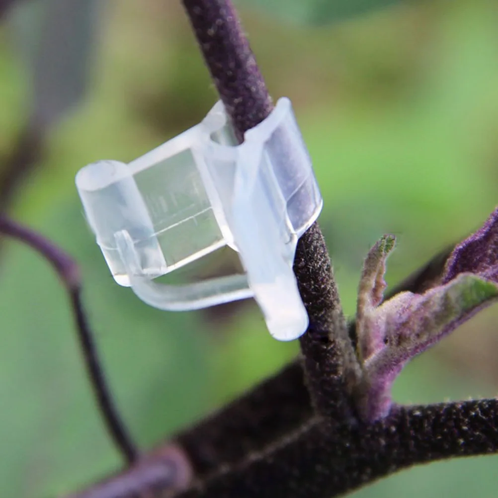 100pcs Grafting Clips for Flower Plant 22-45mm Seedlings High Quality Plastic Gardening Tools Tomato Support Cage 
100pcs Grafting Clips for Flower Plant 22-45mm Seedlings High Quality Plastic Gardening Tools Tomato Support Cage