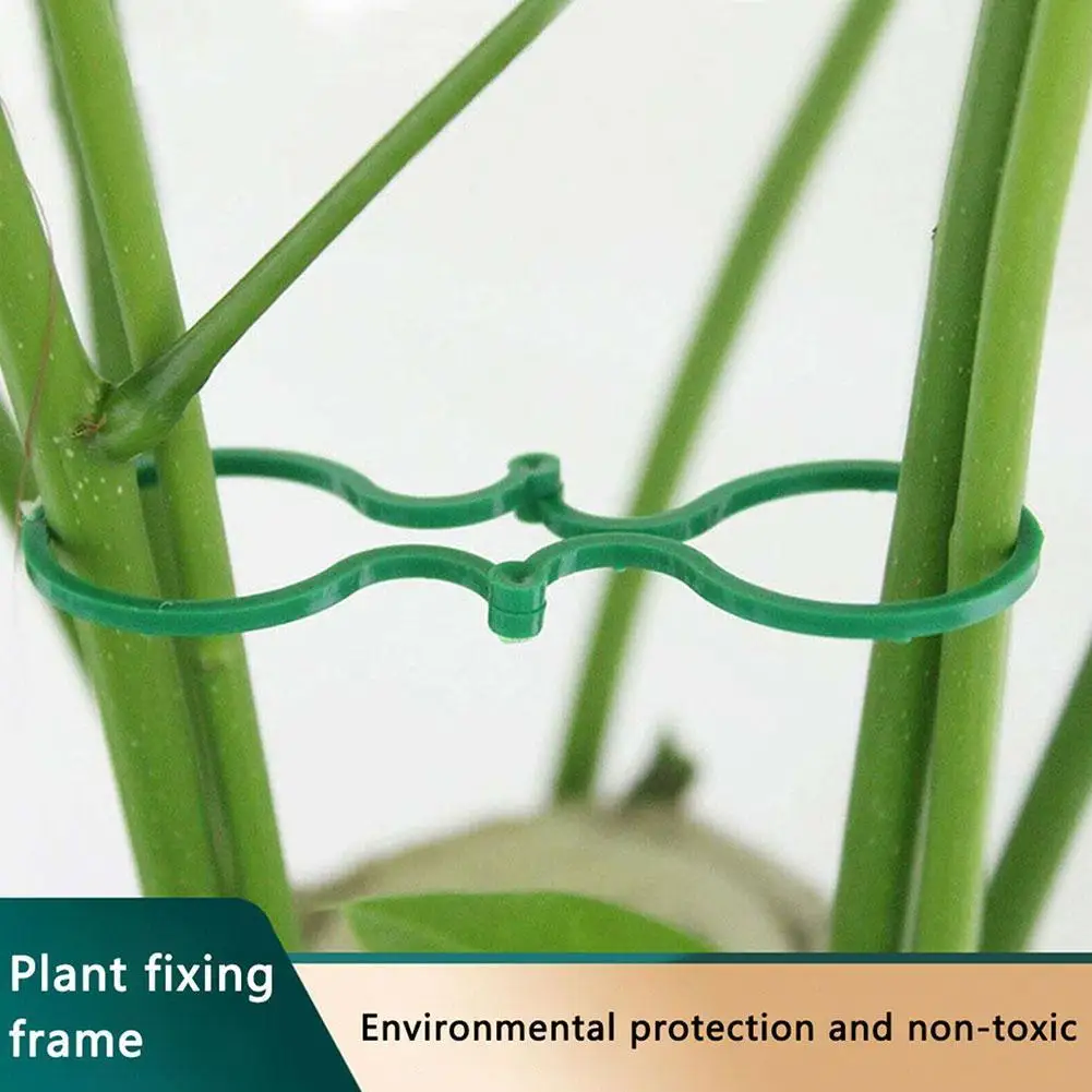 50/100Pcs Plant Clips Vine Buckle Hook Rattan Clamp Fixator Plant Stent Invisible Vine Climbing Fixed Bracket Grafting Fixing
50/100Pcs Plant Clips Vine Buckle Hook Rattan Clamp Fixator Plant Stent Invisible Vine Climbing Fixed Bracket Grafting Fixing