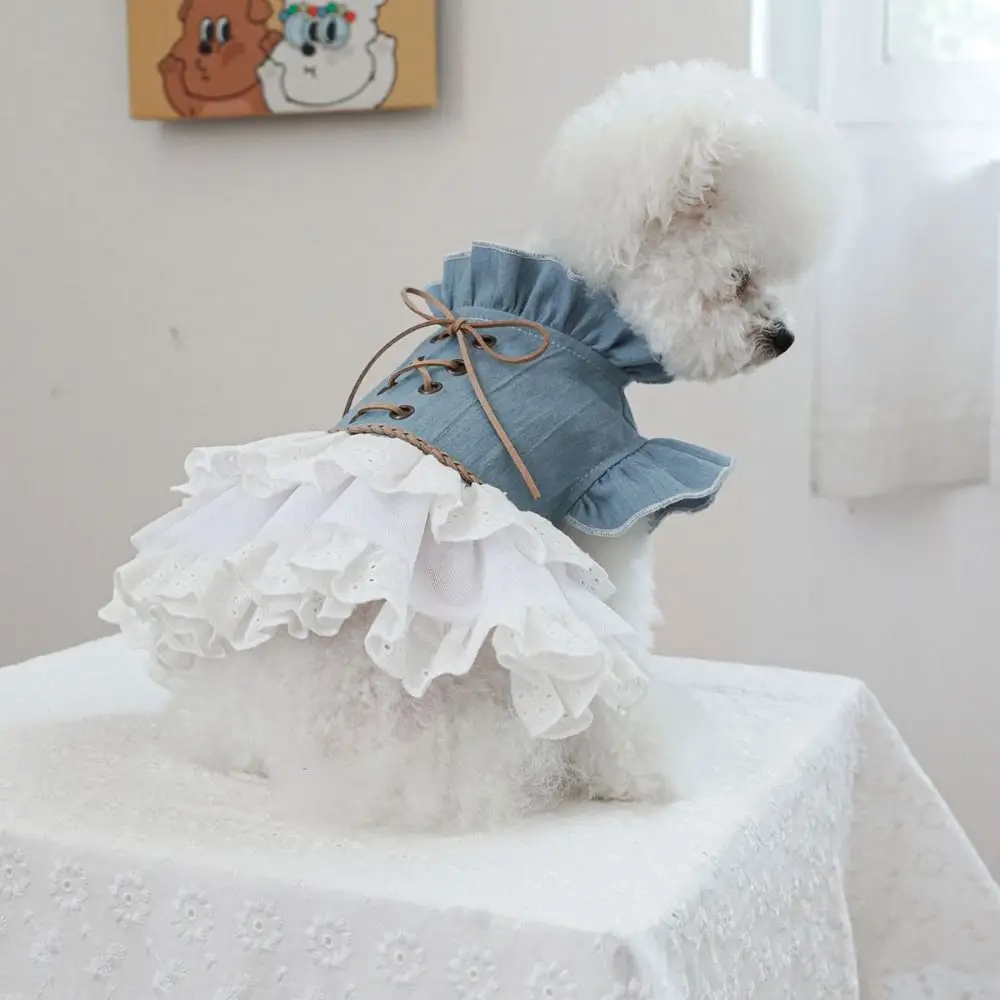 Casual Exquisite Dog Denim Skirt Breathable Cute Lace Cat Skirt Soft Dog Princess Dress Pet Clothes
Casual Exquisite Dog Denim Skirt Breathable Cute Lace Cat Skirt Soft Dog Princess Dress Pet Clothes