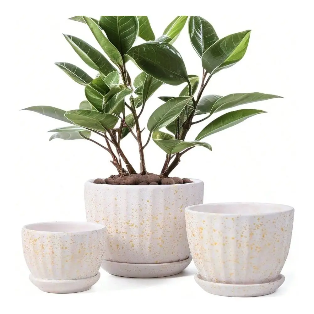 Plant Pots With Drainage Holes And Saucers, Round Blue Flower Pots Indoor Plant, Diameter 3.3 4.3 5.5 Inches Small Flower Plant
Plant Pots With Drainage Holes And Saucers, Round Blue Flower Pots Indoor Plant, Diameter 3.3 4.3 5.5 Inches Small Flower Plant