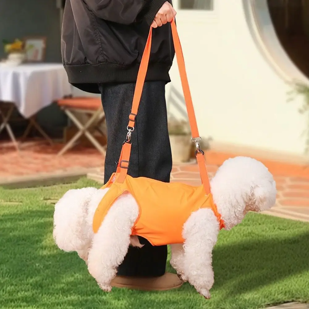 Adjustable Pet Hind Leg Support Strap Breathable Thicken Handle Dogs Sling Back Legs Hip Support Soft Lining Legs Support
Adjustable Pet Hind Leg Support Strap Breathable Thicken Handle Dogs Sling Back Legs Hip Support Soft Lining Legs Support