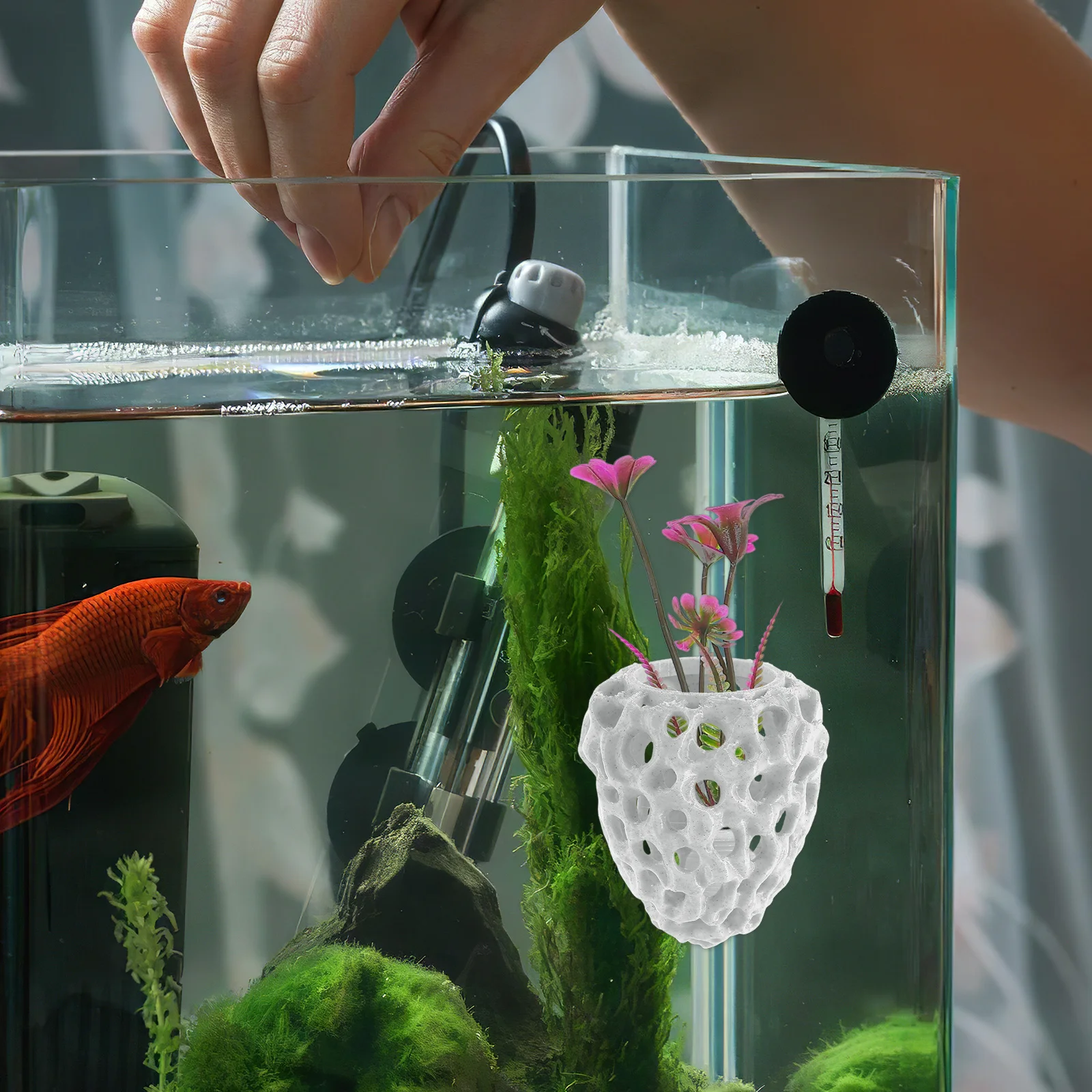 Aquarium Decoration Shrimp Shelter House Breeding Cave Hide Petri Dish for Fish Tank and Plastic
Aquarium Decoration Shrimp Shelter House Breeding Cave Hide Petri Dish for Fish Tank and Plastic
