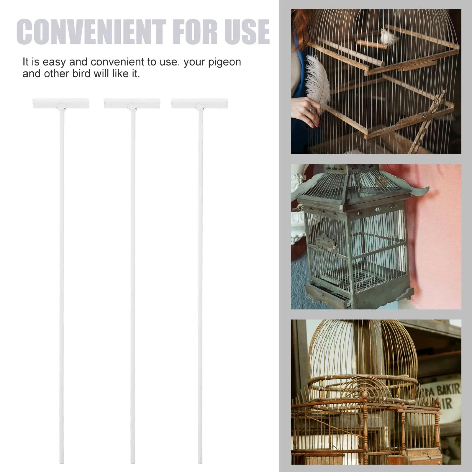 8 Pcs Bird Trap Pigeons Cage Door Coop with One-way Entry Para Birdcages Entrance Wire Bar Bars
8 Pcs Bird Trap Pigeons Cage Door Coop with One-way Entry Para Birdcages Entrance Wire Bar Bars