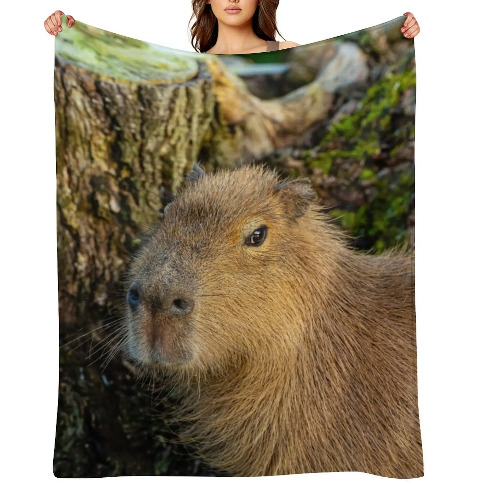 Just watching the world go by Throw Blanket Furrys Soft Plush Plaid Heavy Sofa Quilt Blankets
Just watching the world go by Throw Blanket Furrys Soft Plush Plaid Heavy Sofa Quilt Blankets