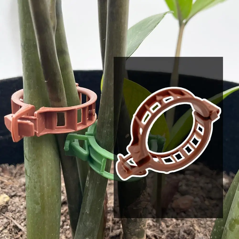 100pcs Garden Clip Set Greenhouse Tomato Stem Support Clips Plastic Plant Clip Plant Clamp Growth Clamp Tomato Plants Clip
100pcs Garden Clip Set Greenhouse Tomato Stem Support Clips Plastic Plant Clip Plant Clamp Growth Clamp Tomato Plants Clip