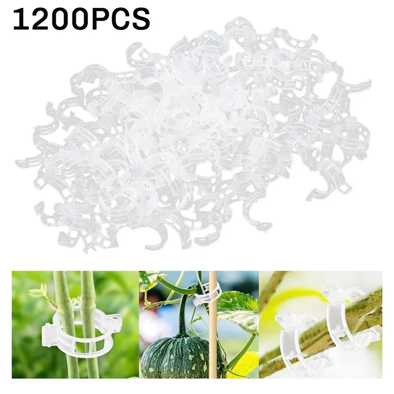 A53Q-1200PCS Защищенные пластиковые зажимы для растений Пластиковые зажимы для решеток Зажимы для поддержки растений Виноградная лоза Овощи Зажимы для крепления растений
A53Q-1200PCS Защищенные пластиковые зажимы для растений Пластиковые зажимы для решеток Зажимы для поддержки растений Виноградная лоза Овощи Зажимы для крепления растений