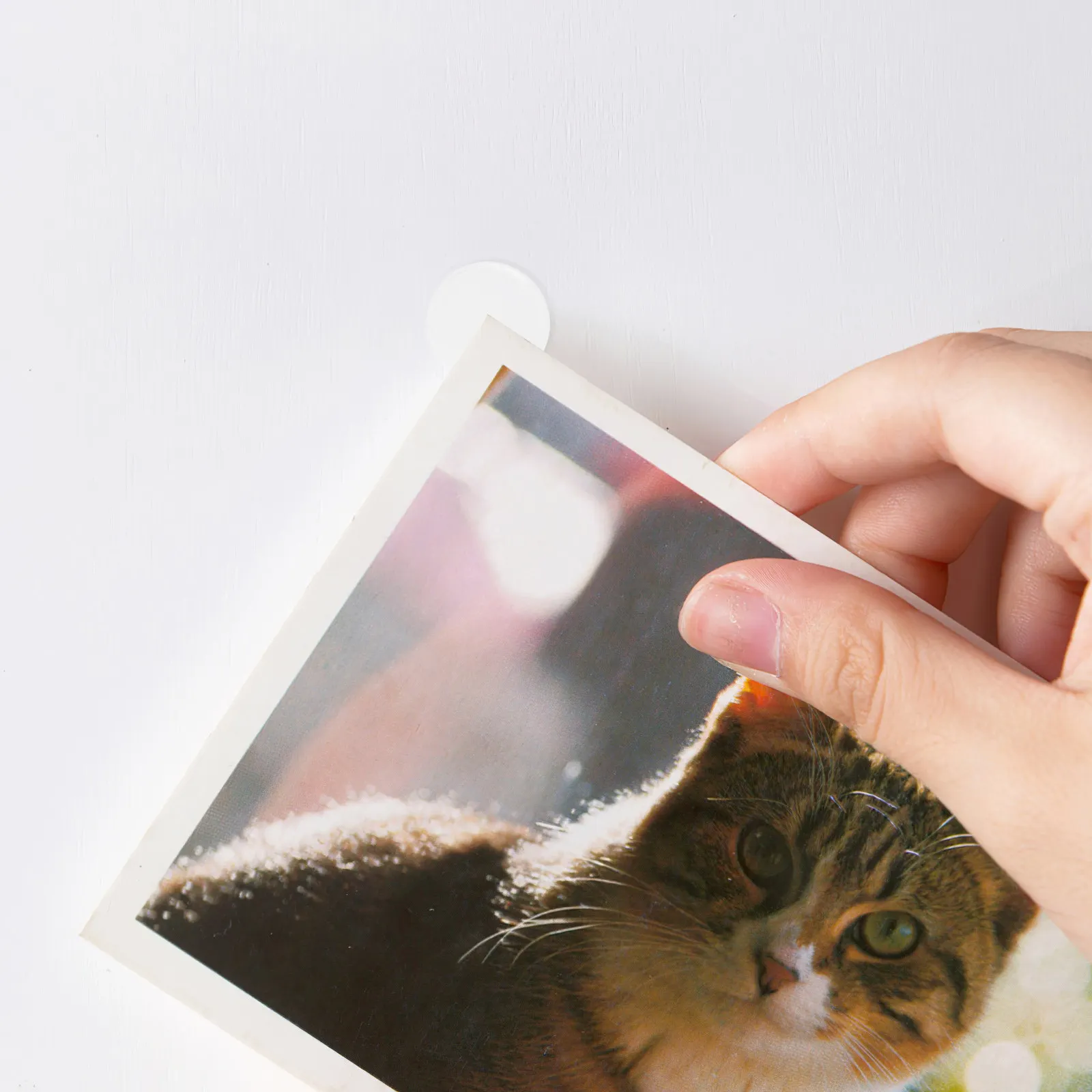 5 Sheets Double Sided Clear Removable Adhesive Dots for Photo Wall Stickers Paint Safe Hanging Artwork Posters Craft DIY
5 Sheets Double Sided Clear Removable Adhesive Dots for Photo Wall Stickers Paint Safe Hanging Artwork Posters Craft DIY