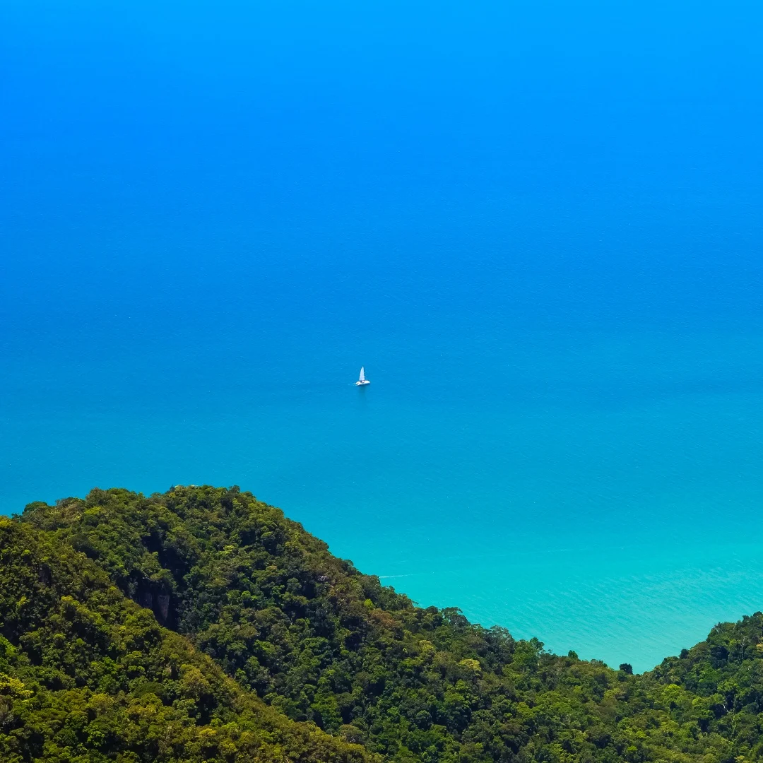 Android Auto автомобильный цифровой кластер скорости для Mercedes-Benz S W221 2005-2013 радио GPS навигация головное устройство стерео мультимедийный плеер
Android Auto автомобильный цифровой кластер скорости для Mercedes-Benz S W221 2005-2013 радио GPS навигация головное устройство стерео мультимедийный плеер