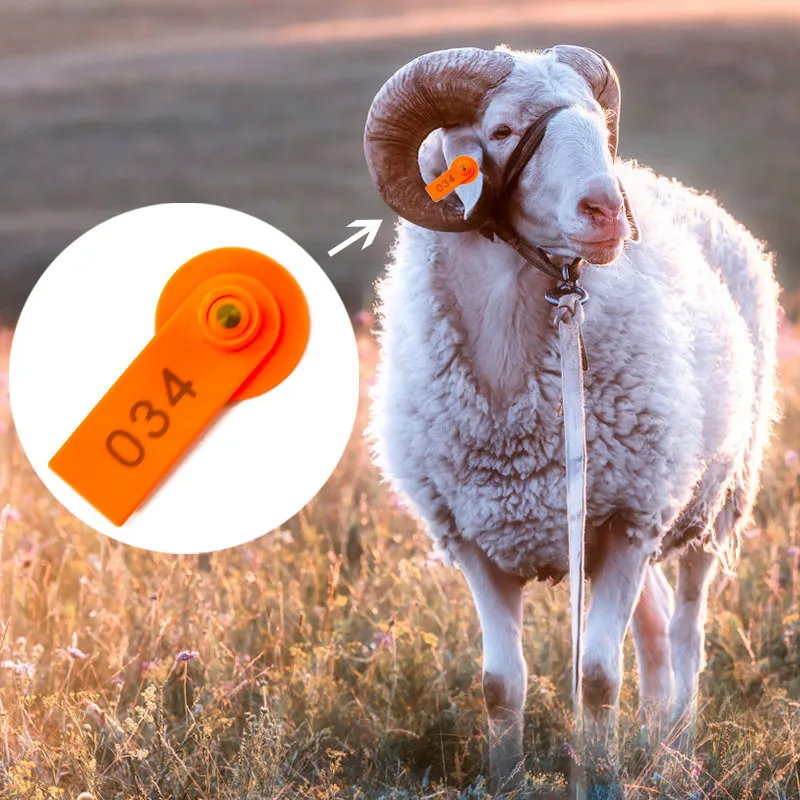 100pcs Plastic Ear Tags for Livestock, Sheep Identification Tags Goat, Pig, Ear, Dairy Cattle, Farm Animal Supplies, Cow Markers
100pcs Plastic Ear Tags for Livestock, Sheep Identification Tags Goat, Pig, Ear, Dairy Cattle, Farm Animal Supplies, Cow Markers