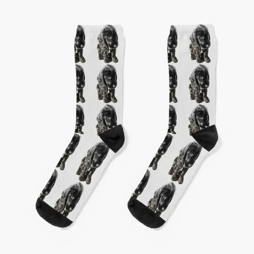 English Cocker Spaniel Black Puppy Dog - Adorable! Socks shoes Stockings compression valentine gift ideas Men's Socks Women's
English Cocker Spaniel Black Puppy Dog - Adorable! Socks shoes Stockings compression valentine gift ideas Men's Socks Women's