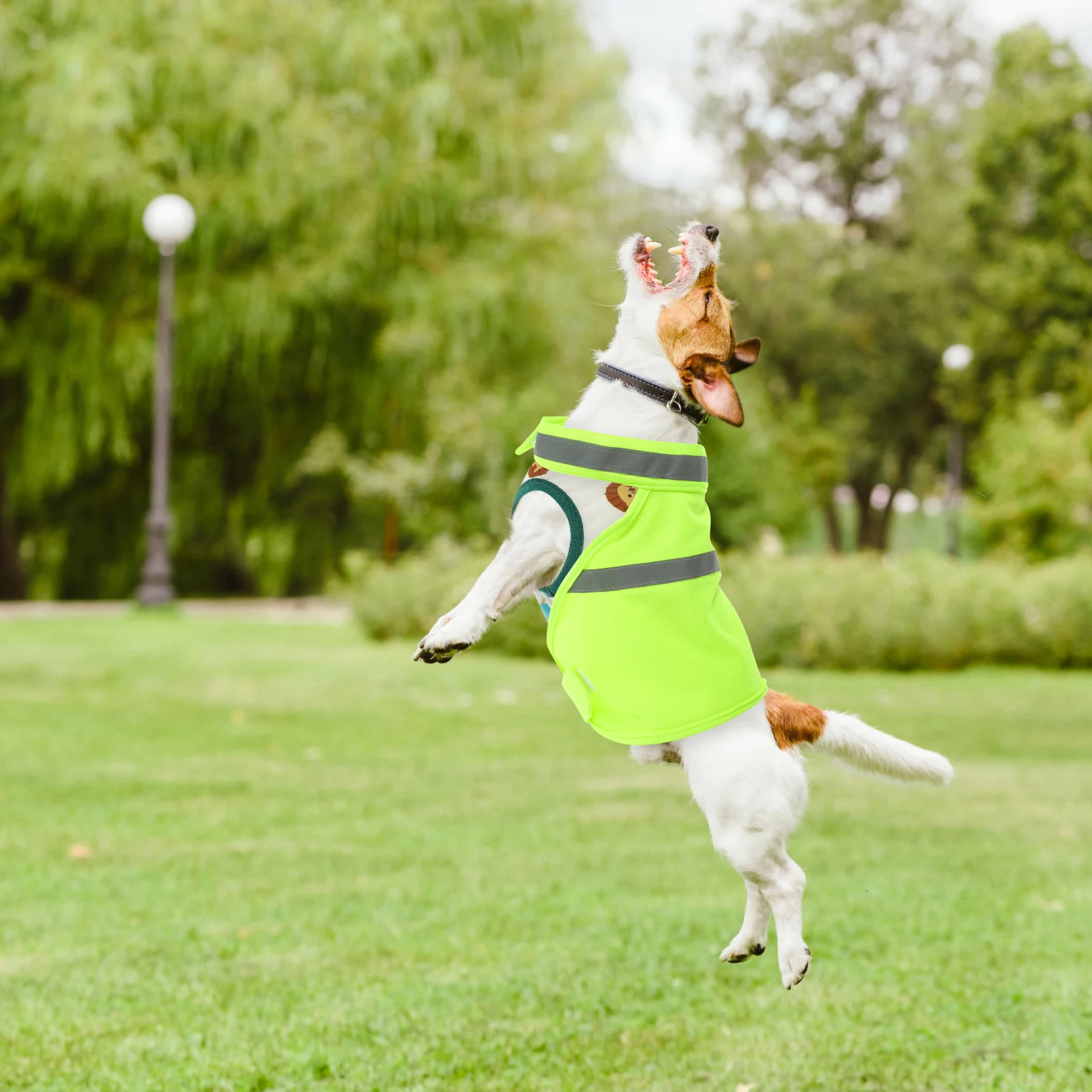 High Visibility Dog Vest Fluorescent Reflective Outdoor Adjustable Safety Vests for Dogs Small Medium Large Soft Hunting Pet
High Visibility Dog Vest Fluorescent Reflective Outdoor Adjustable Safety Vests for Dogs Small Medium Large Soft Hunting Pet
