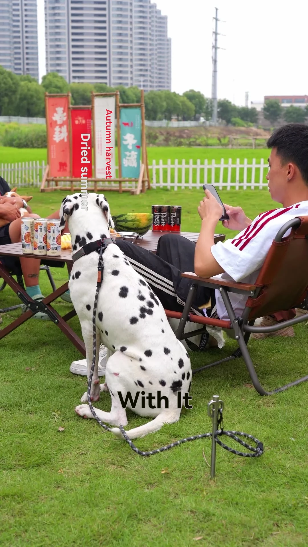 CAMPINGMOON PS-160 Взрывозащищенная поводок-рулетка для собак, удлиненная, с защитой от разрывов, для маленьких и средних пород, для прогулок на улице
CAMPINGMOON PS-160 Взрывозащищенная поводок-рулетка для собак, удлиненная, с защитой от разрывов, для маленьких и средних пород, для прогулок на улице