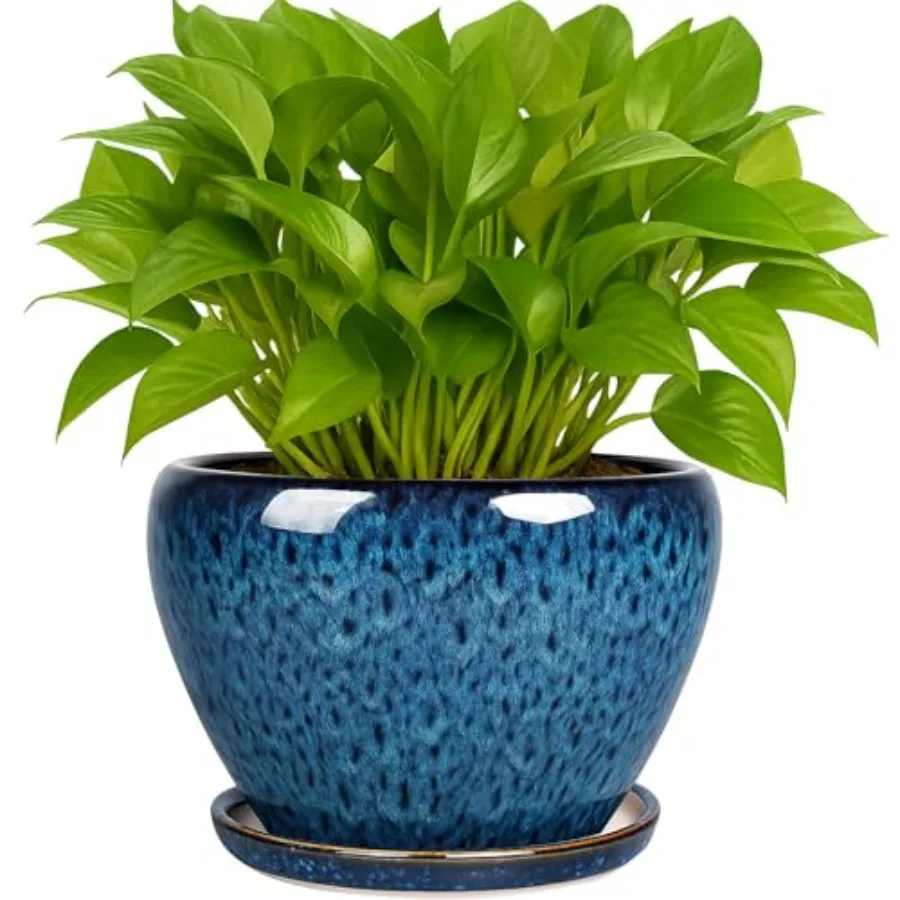 Plant Pots- Ceramic Planter Pot with Drainage Hole and Saucer, Round Flower Pot for door Outdoor Succulent, Snake Plants and Ca
Plant Pots- Ceramic Planter Pot with Drainage Hole and Saucer, Round Flower Pot for door Outdoor Succulent, Snake Plants and Ca