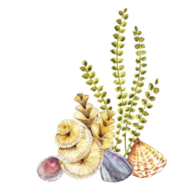 Комплект гусеничных шин и колес RS Red Spider 1/8 RC — совместим с CROSSRC, MST, H8H — прочные резиновые шины + пластиковые диски R215
Комплект гусеничных шин и колес RS Red Spider 1/8 RC — совместим с CROSSRC, MST, H8H — прочные резиновые шины + пластиковые диски R215