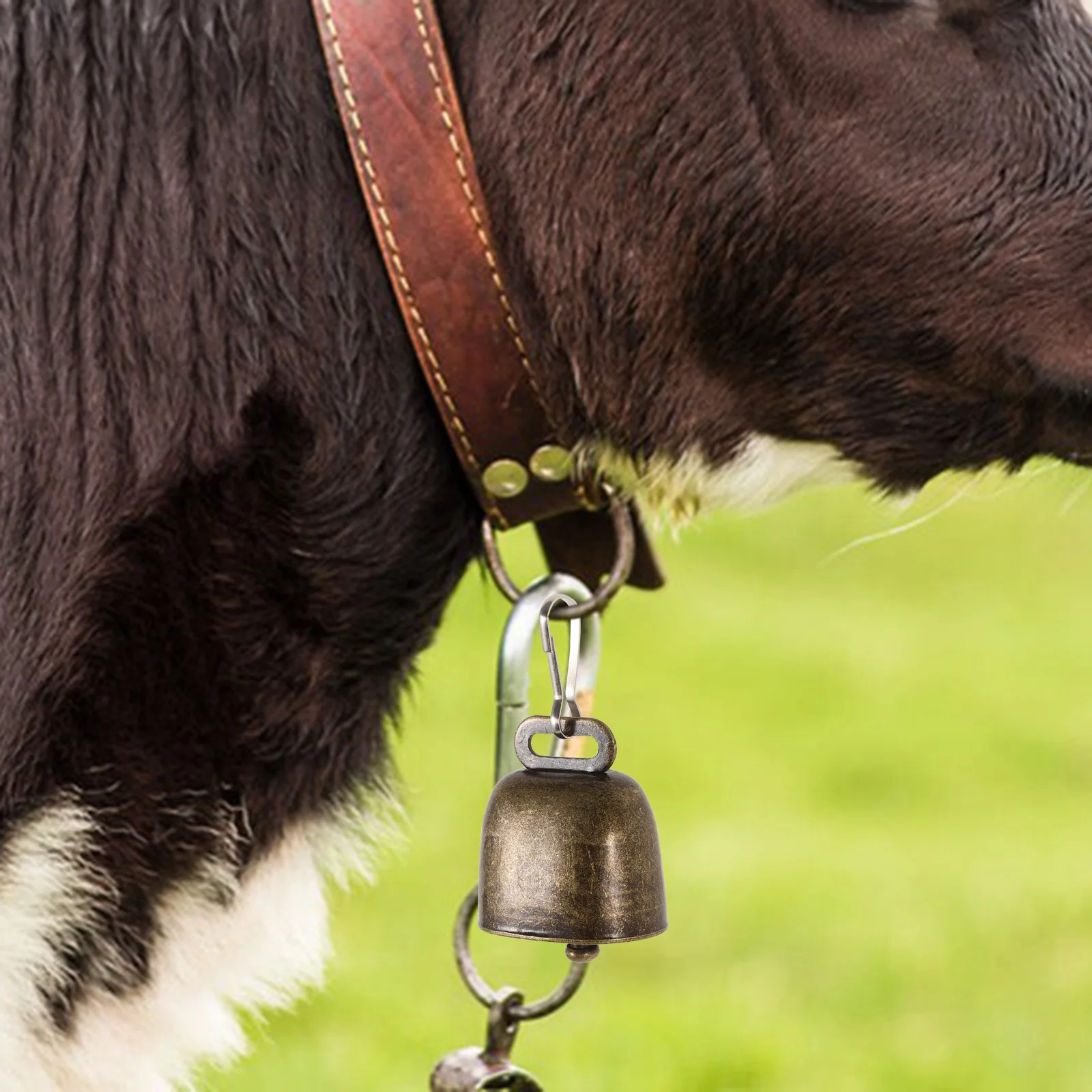 5 Pcs Cow Bell Vintage Bells for Dogs Goat Horse Call Small Iron Decorations Ornament
5 Pcs Cow Bell Vintage Bells for Dogs Goat Horse Call Small Iron Decorations Ornament