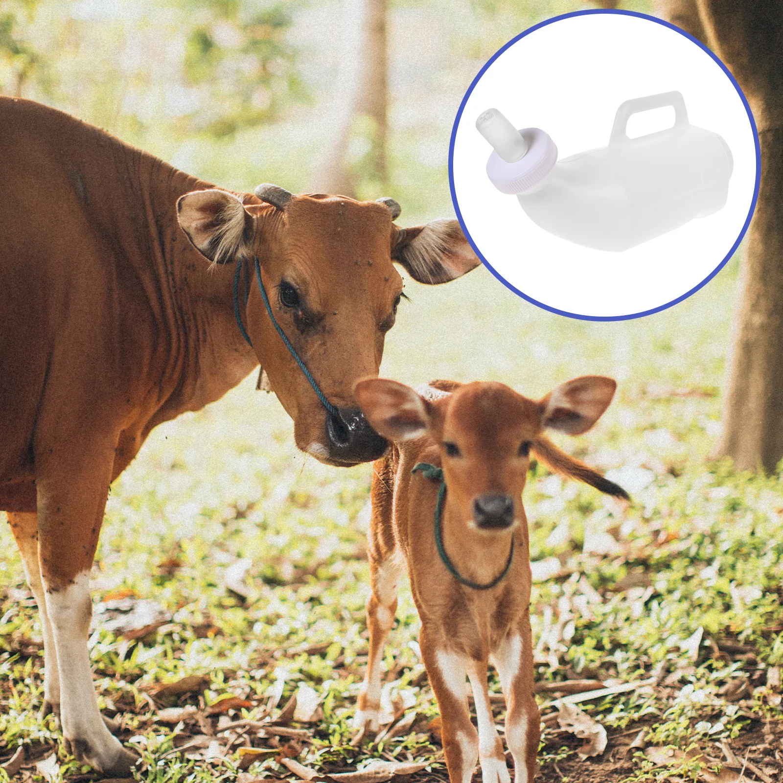 2-комплектная бутылочка для кормления овец, легкая портативная бутылочка для кормления для теленка, скота, кормушка для молока, прочный герметичный дизайн, уход за домашними животными
2-комплектная бутылочка для кормления овец, легкая портативная бутылочка для кормления для теленка, скота, кормушка для молока, прочный герметичный дизайн, уход за домашними животными