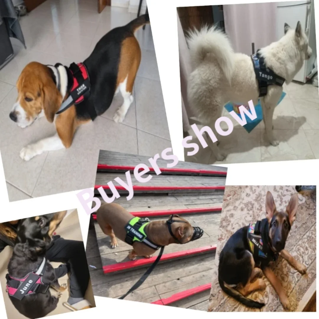 Personalized Dog Harness Reflective Adjustable No-Pull Pet Harness Vest For Small Medium Large Dogs wholesale harness
Personalized Dog Harness Reflective Adjustable No-Pull Pet Harness Vest For Small Medium Large Dogs wholesale harness