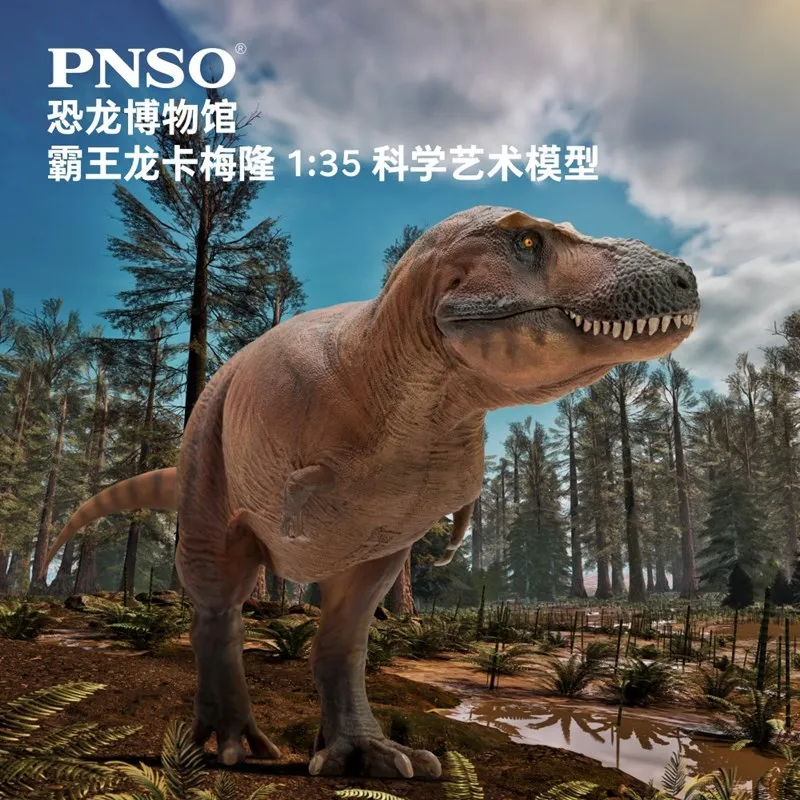 Cameron PNSO Jurassic Tyrannosaurus Dinosaur Museum Model 1:35 Science Art With Skull Attachment Durable Collectible Toy Figure
Cameron PNSO Jurassic Tyrannosaurus Dinosaur Museum Model 1:35 Science Art With Skull Attachment Durable Collectible Toy Figure
