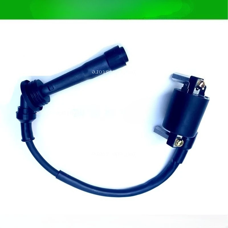 Apply To Benelli Cubs 250 Little Jinpeng TRK251 Qianjiang Sai 250 High Voltage Package Spark Plug Igniter Coil
Apply To Benelli Cubs 250 Little Jinpeng TRK251 Qianjiang Sai 250 High Voltage Package Spark Plug Igniter Coil
