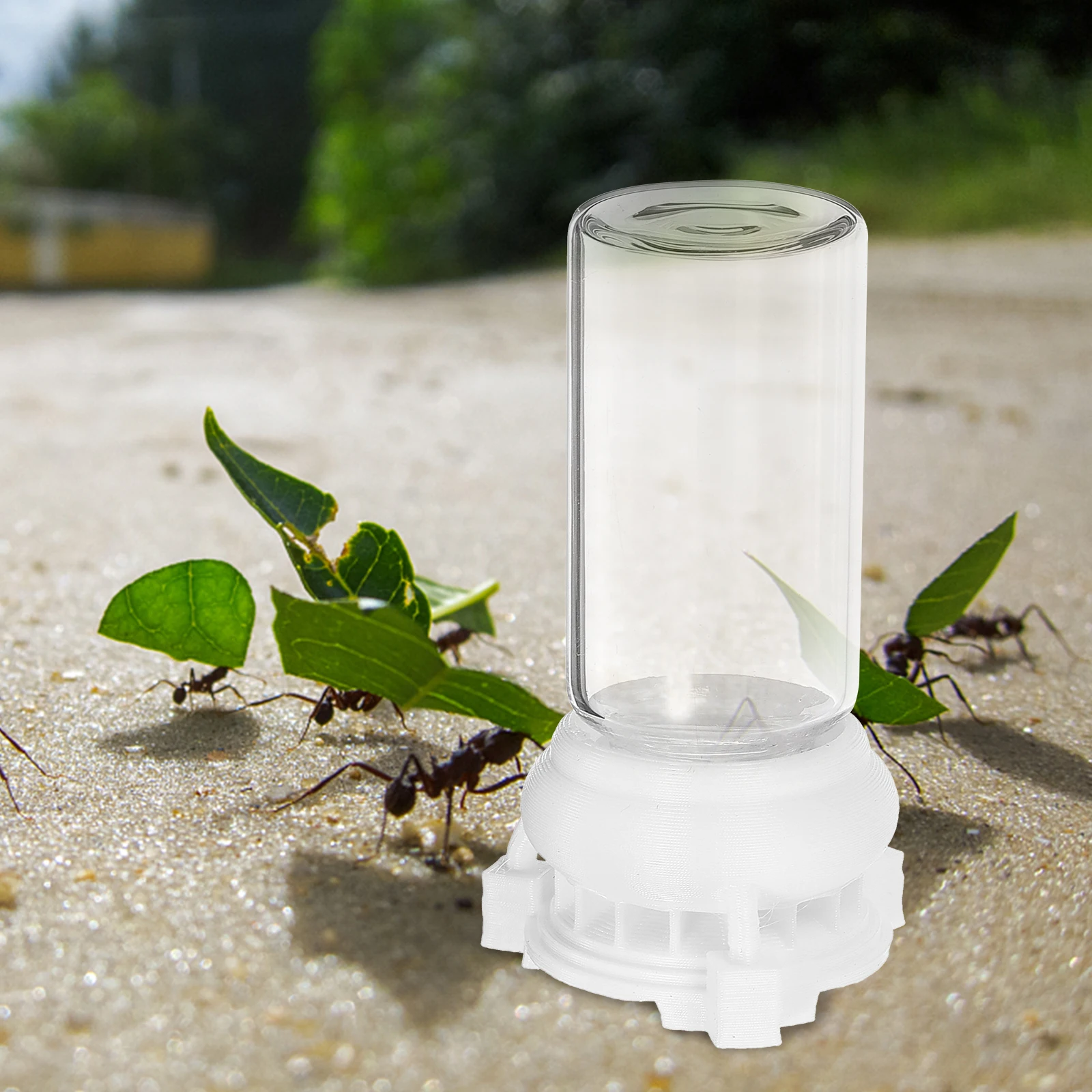 2pcs Durable Glass Pet Supplies Mini Cup for Ants Ant Keeper Tools Nest Stable Easy Feeding Ant Water Feeding Cup Tool
2pcs Durable Glass Pet Supplies Mini Cup for Ants Ant Keeper Tools Nest Stable Easy Feeding Ant Water Feeding Cup Tool