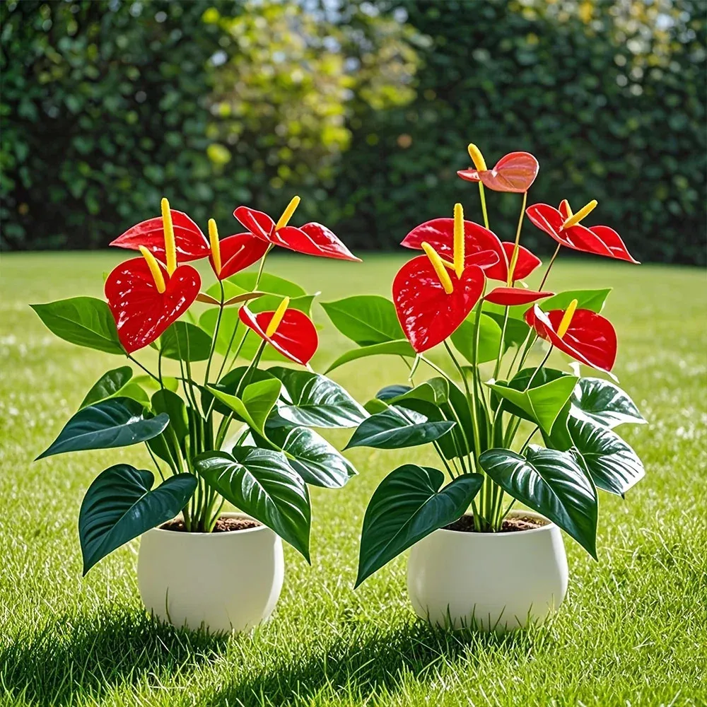 Artificial Flowers Flamingo Flower with Lush Green Leaves Fake Plants Room Home
Artificial Flowers Flamingo Flower with Lush Green Leaves Fake Plants Room Home