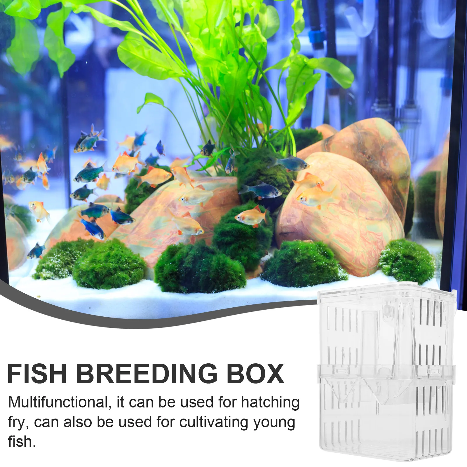 2pcs Isolation Box Fish Tank Aquarium Hatchery Incubator Hatching Fry Plastic Breeding Boxes Pet Supplies
2pcs Isolation Box Fish Tank Aquarium Hatchery Incubator Hatching Fry Plastic Breeding Boxes Pet Supplies