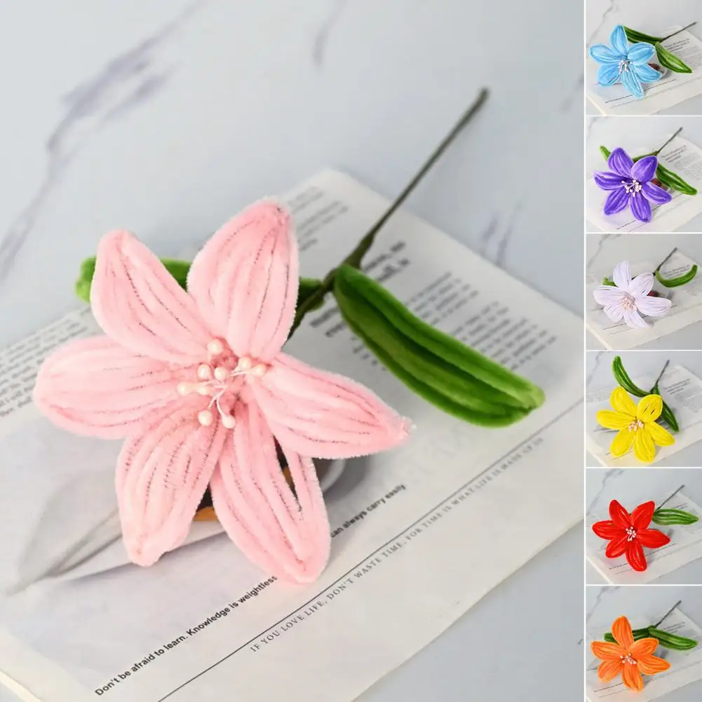 Eco-friendly Flower Decoration Handmade Pipe Cleaner Flower Craft Kit Artificial Lily Bouquet for Valentine's Day for Mom
Eco-friendly Flower Decoration Handmade Pipe Cleaner Flower Craft Kit Artificial Lily Bouquet for Valentine's Day for Mom