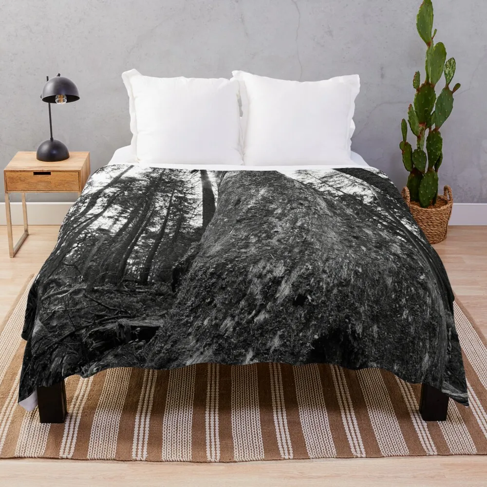 The Old One. Seitseminen 2024 bw Throw Blanket Weighted Softest Giant Sofa Plaid on the sofa Blankets
The Old One. Seitseminen 2024 bw Throw Blanket Weighted Softest Giant Sofa Plaid on the sofa Blankets