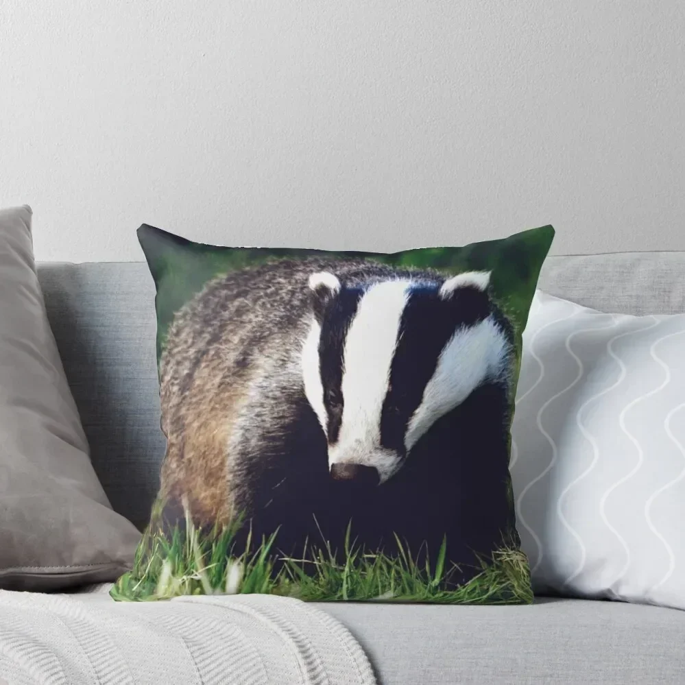 Mr. Badger Throw Pillow luxury throw pillow covers pillowcases for sofa cushions Couch Cushions pillow
Mr. Badger Throw Pillow luxury throw pillow covers pillowcases for sofa cushions Couch Cushions pillow
