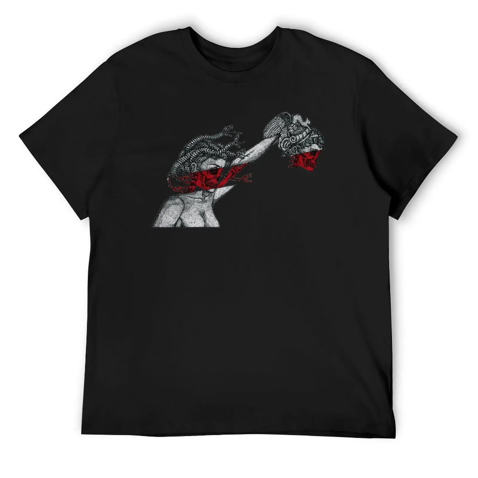 Medusa with the head of Perseus T-Shirt oversized t shirt customs design your own vintage for a boy men t shirt
Medusa with the head of Perseus T-Shirt oversized t shirt customs design your own vintage for a boy men t shirt