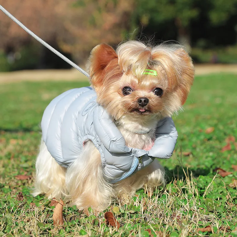 Pet Clothing, Dog Clothes, Two-legged Down Jackets, Winter Warm Cotton-padded Clothes, Small Dog Armor Vests
Pet Clothing, Dog Clothes, Two-legged Down Jackets, Winter Warm Cotton-padded Clothes, Small Dog Armor Vests