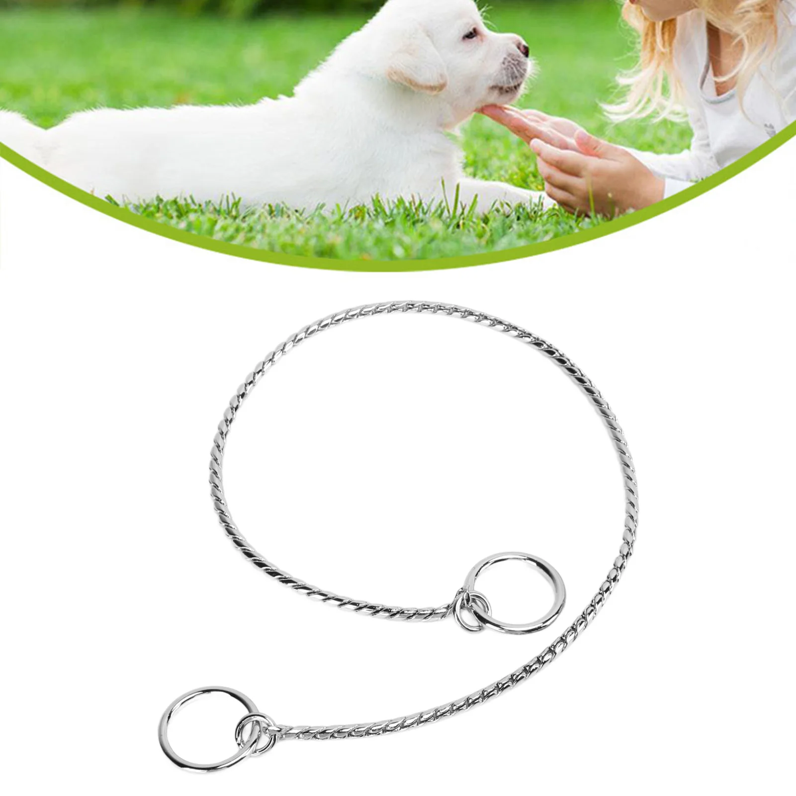 Pet P Chain Metal Pet Dog Collar Snake Chain Pet Decoration For Walking Training
Pet P Chain Metal Pet Dog Collar Snake Chain Pet Decoration For Walking Training