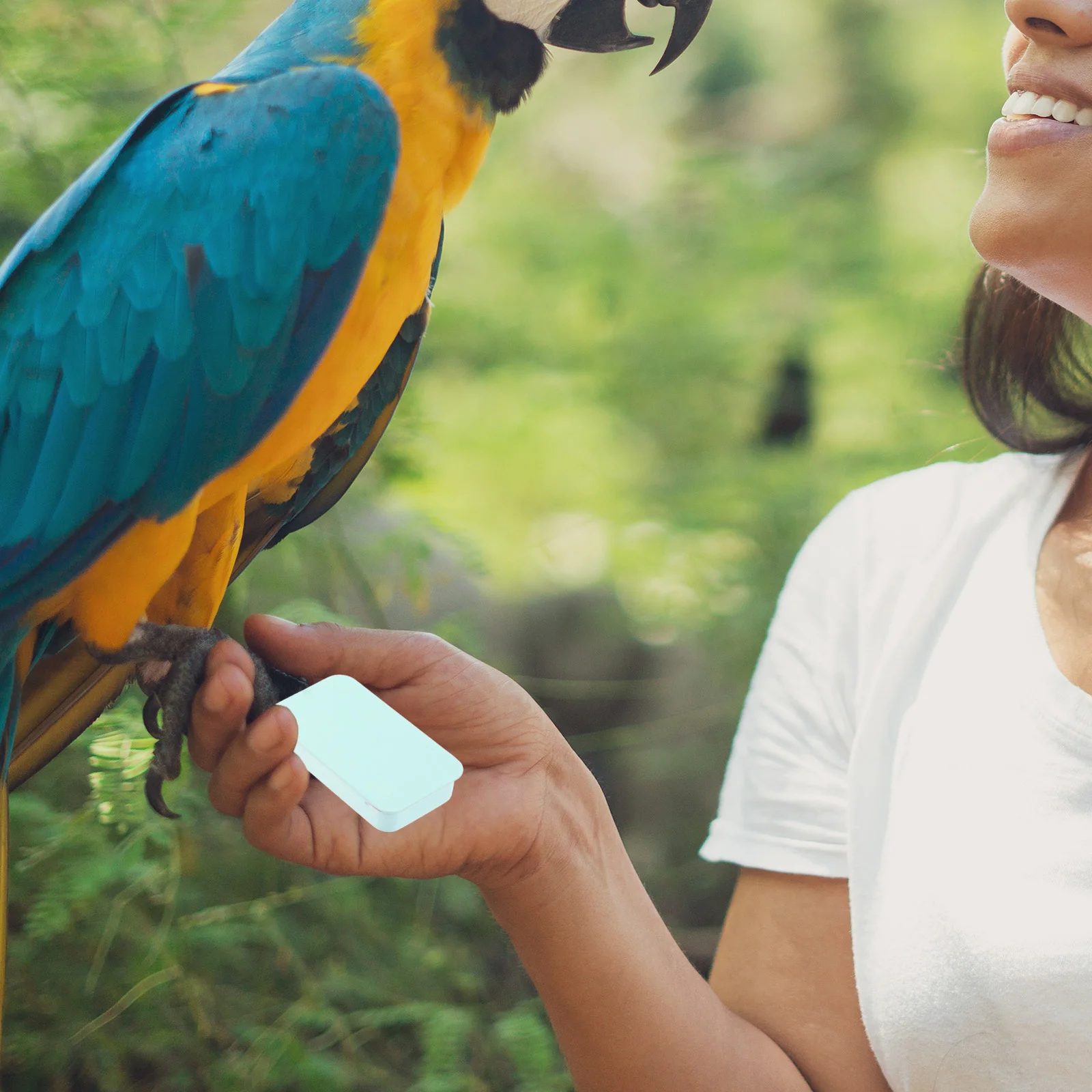 2 Pcs Bird Training Box Parrot Food Feeder Feeders for Cockatiels Outdoors Handheld Dishes Portable Wild
2 Pcs Bird Training Box Parrot Food Feeder Feeders for Cockatiels Outdoors Handheld Dishes Portable Wild