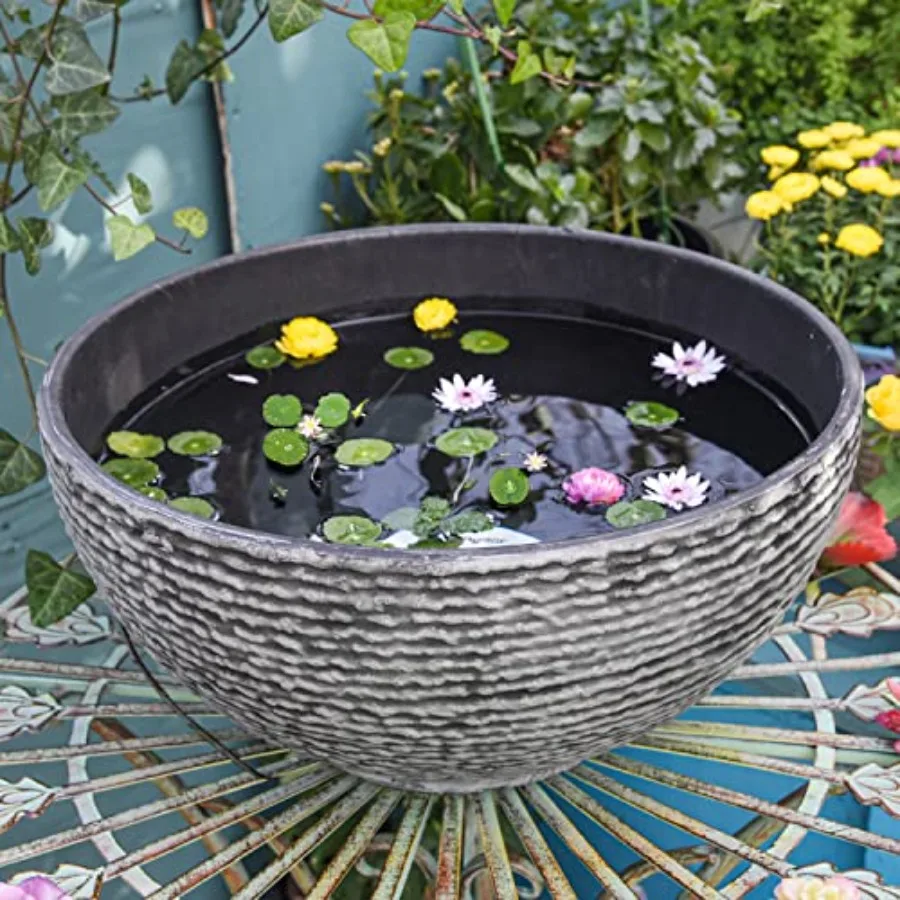Ash Black Resin Outdoor Low Bowl Planter Bird Bath 15.6 Inch Water Lily Succulent Pots Small Fountain Base
Ash Black Resin Outdoor Low Bowl Planter Bird Bath 15.6 Inch Water Lily Succulent Pots Small Fountain Base