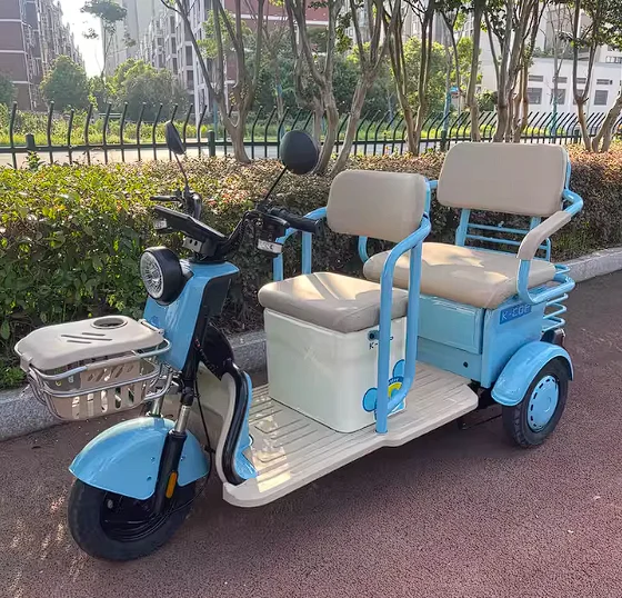 New Electric Tricycle Open Body 800W Motor for Elderly Passengers and Cargo
New Electric Tricycle Open Body 800W Motor for Elderly Passengers and Cargo