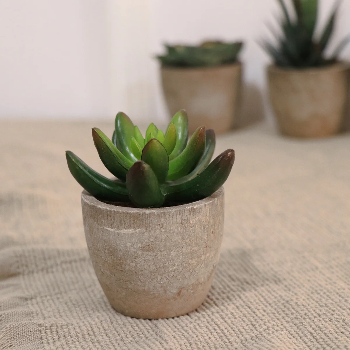 5pcs Artificial Succulent Plants Realistic Mini Potted Bonsai Decor For Home Desktop Garden Simulation Greenery Indoor Ornament
5pcs Artificial Succulent Plants Realistic Mini Potted Bonsai Decor For Home Desktop Garden Simulation Greenery Indoor Ornament