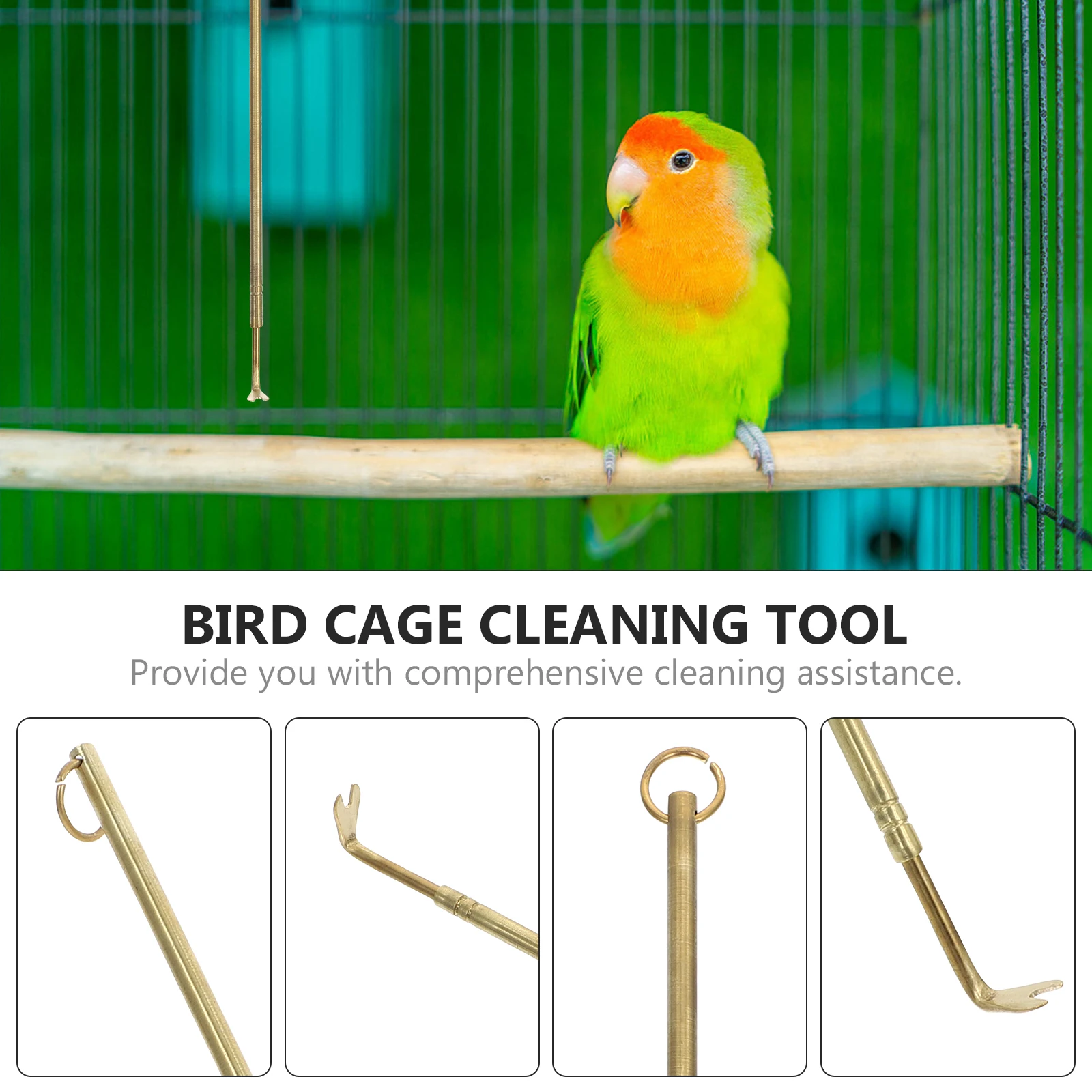 Long Handle Bird Cleaner Pet Poop Cleaning Small Animals Cleaner Metal Poop Remover Bird Accessory Professional Cage Cleaning
Long Handle Bird Cleaner Pet Poop Cleaning Small Animals Cleaner Metal Poop Remover Bird Accessory Professional Cage Cleaning