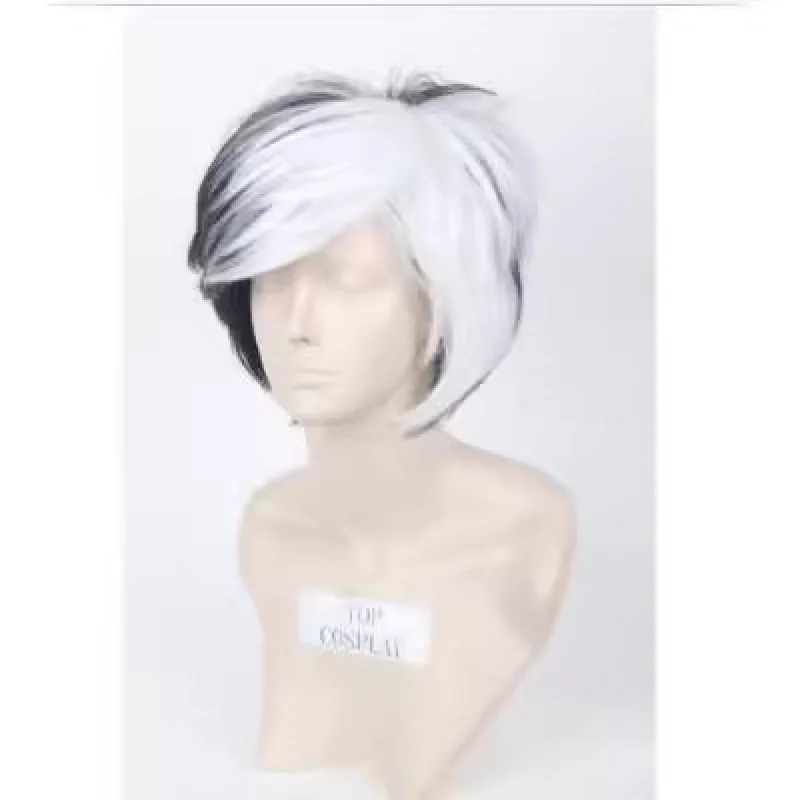 European and American Wig Descendants 2 Carlos Cosplay Men's Black and White Wig Set
European and American Wig Descendants 2 Carlos Cosplay Men's Black and White Wig Set
