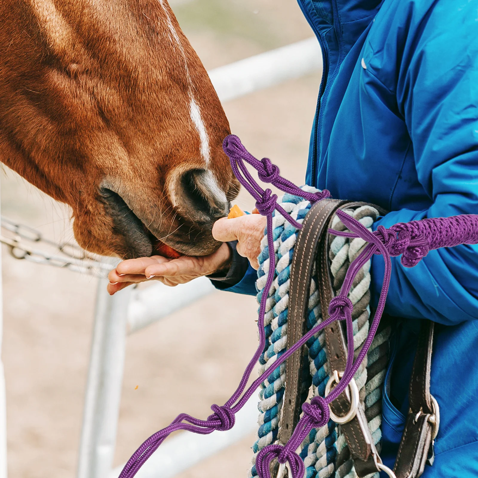 Horse Halter Wear-Resistant Cloth Training Equipment Practical Portable Durable Anti-Wear Easy Use Bridles Horses Supplies
Horse Halter Wear-Resistant Cloth Training Equipment Practical Portable Durable Anti-Wear Easy Use Bridles Horses Supplies