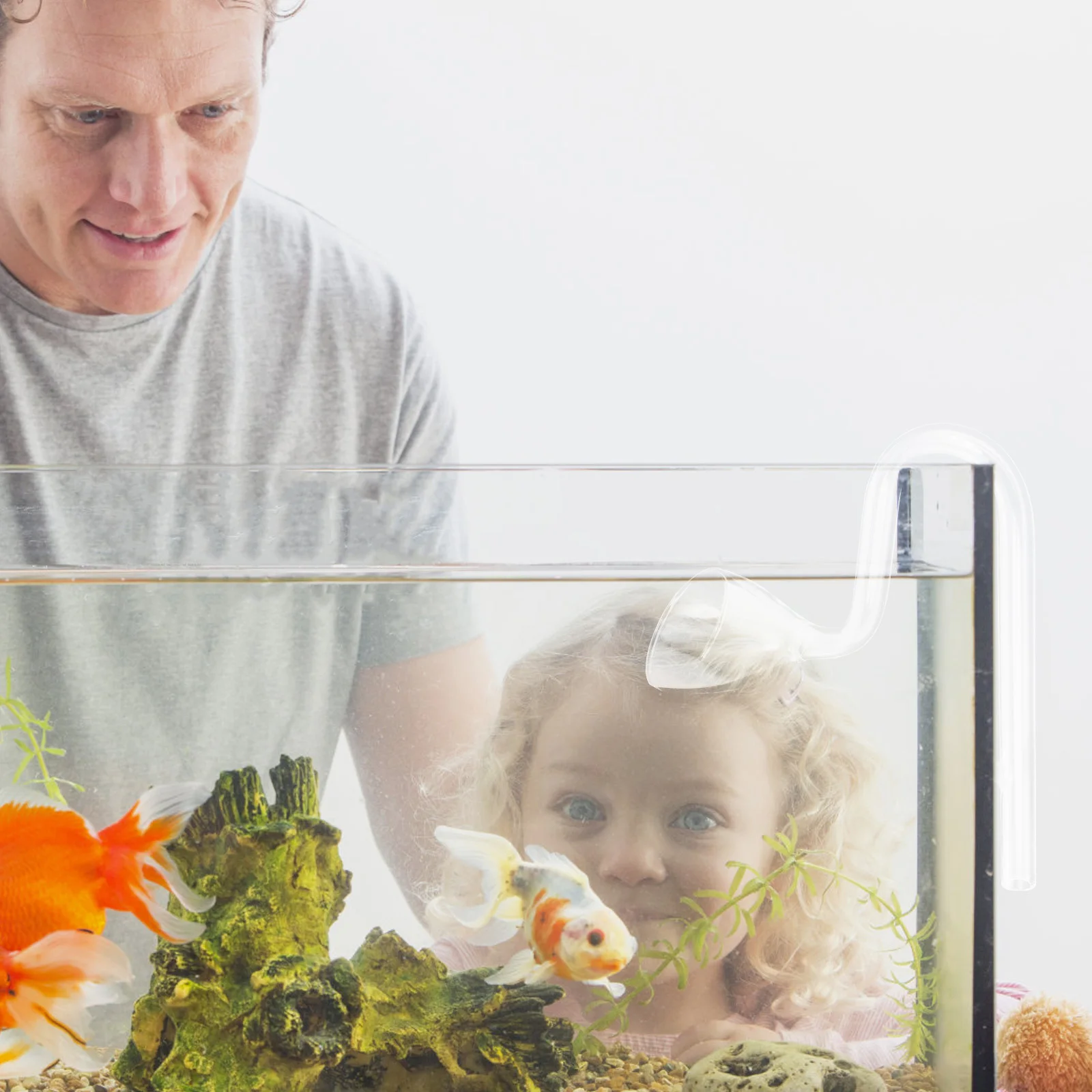 Durable Glass Bell Mouth Aquarium Water Siphon Pump Pipe Fish Tank Filtration Aeration Pipe Adjustable Flow Control Compact
Durable Glass Bell Mouth Aquarium Water Siphon Pump Pipe Fish Tank Filtration Aeration Pipe Adjustable Flow Control Compact