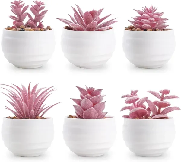 Set of 6 Pink Succulents Plants Artificial in Pots Small Fake Plants for Girls Pink Room Decor Office
Set of 6 Pink Succulents Plants Artificial in Pots Small Fake Plants for Girls Pink Room Decor Office