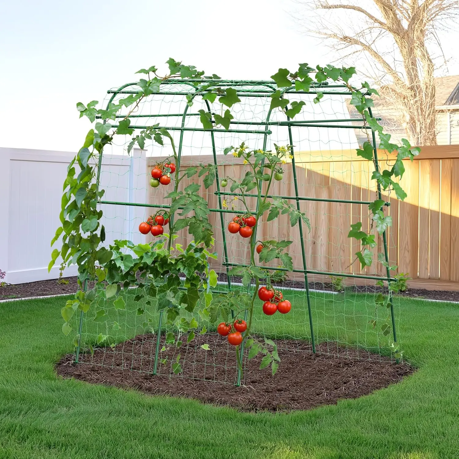 6.3ft Tall Heavy Duty Metal Trellis for Climbing Plants, Rustproof Support for Tomato, Grape, Bean and Vegetable Gardens
6.3ft Tall Heavy Duty Metal Trellis for Climbing Plants, Rustproof Support for Tomato, Grape, Bean and Vegetable Gardens