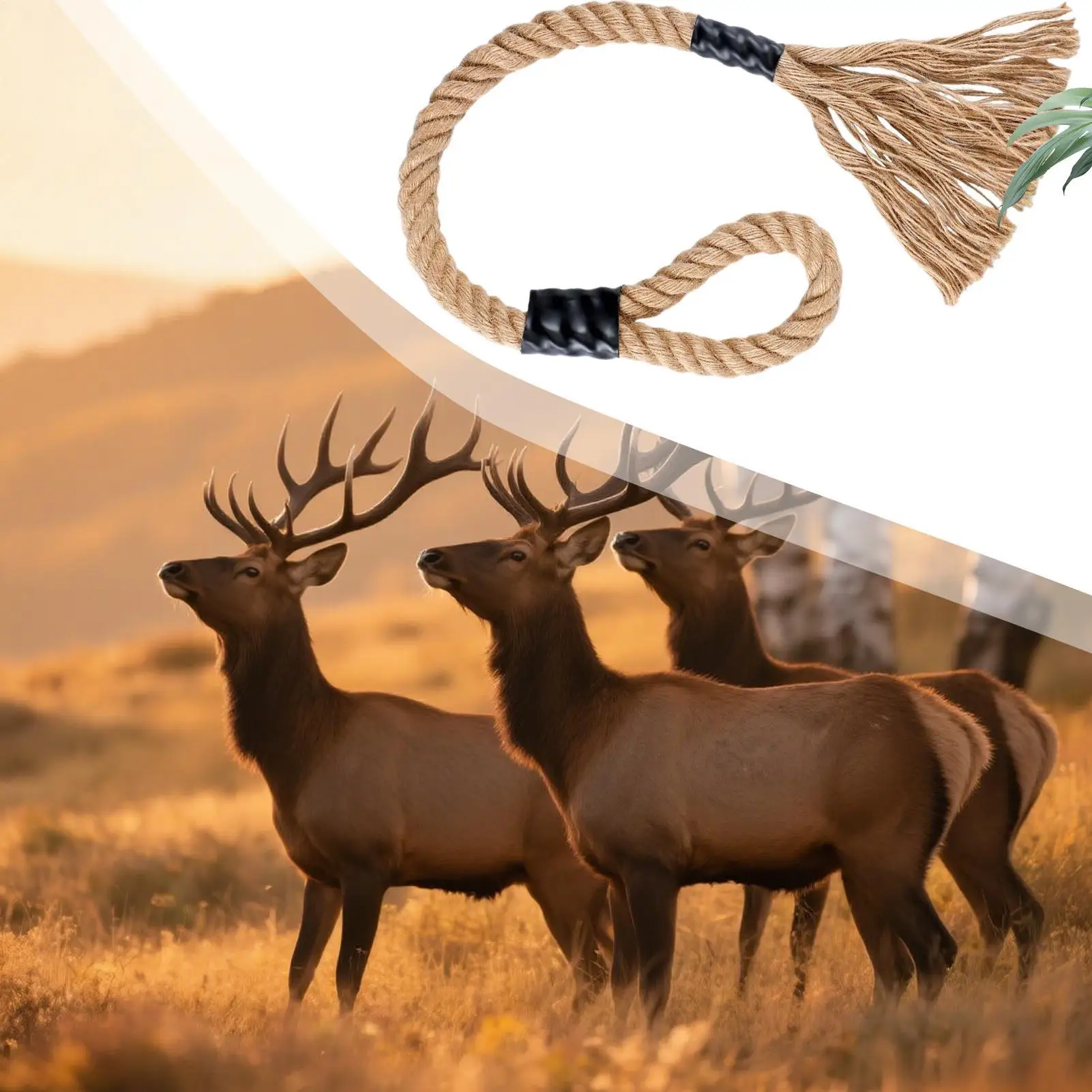 Набор ароматизаторов из веревки оленя, долговечные эффективные приманки, скребковые кисточки, ароматический фитиль для тропы, кемпинга, дикой природы, леса, пешего туризма
Набор ароматизаторов из веревки оленя, долговечные эффективные приманки, скребковые кисточки, ароматический фитиль для тропы, кемпинга, дикой природы, леса, пешего туризма