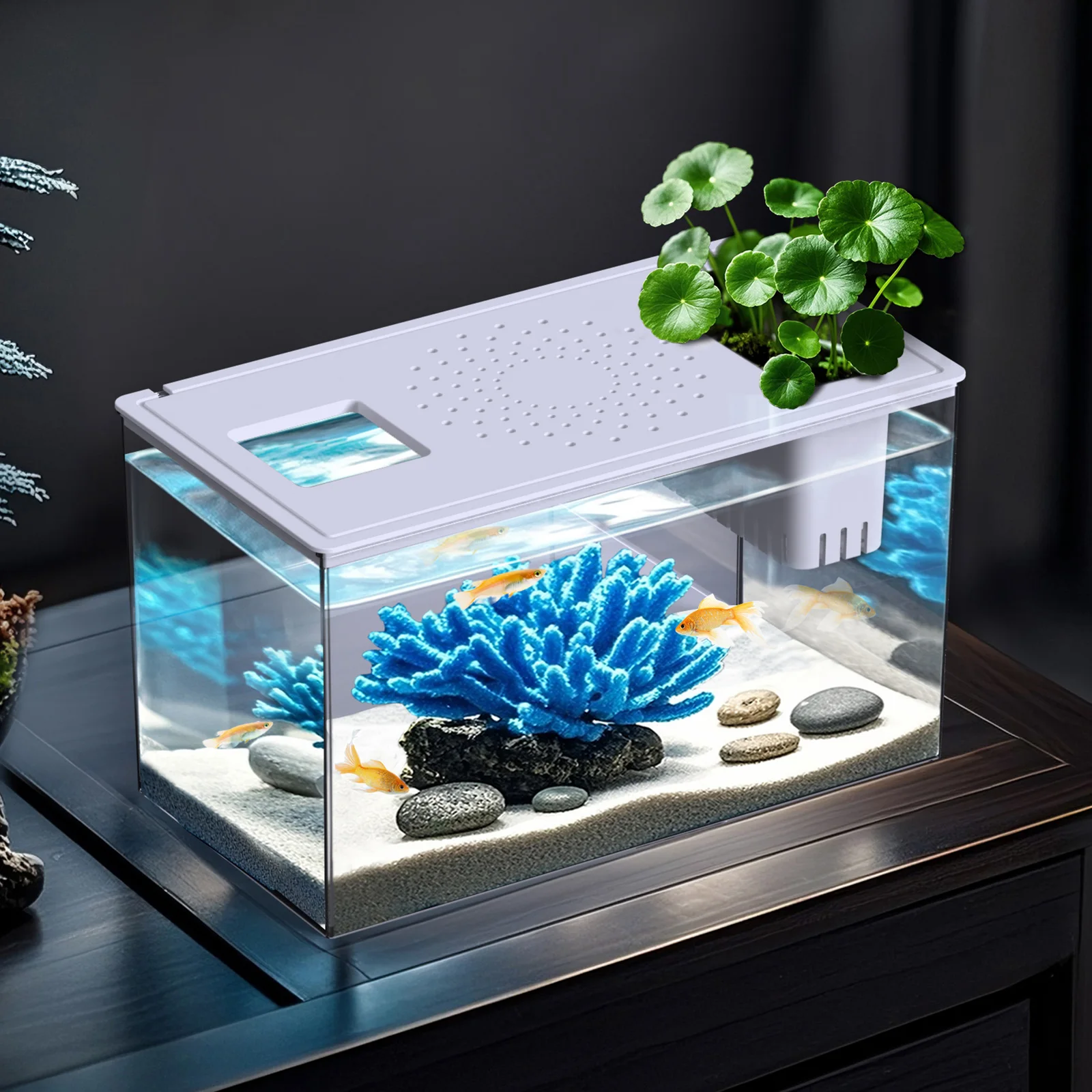 Набор для аквариума, набор квадратных аквариумов из ПЭТ-материала, включая имитация водных растений, цветные камни и рыболовные сети.
Набор для аквариума, набор квадратных аквариумов из ПЭТ-материала, включая имитация водных растений, цветные камни и рыболовные сети.